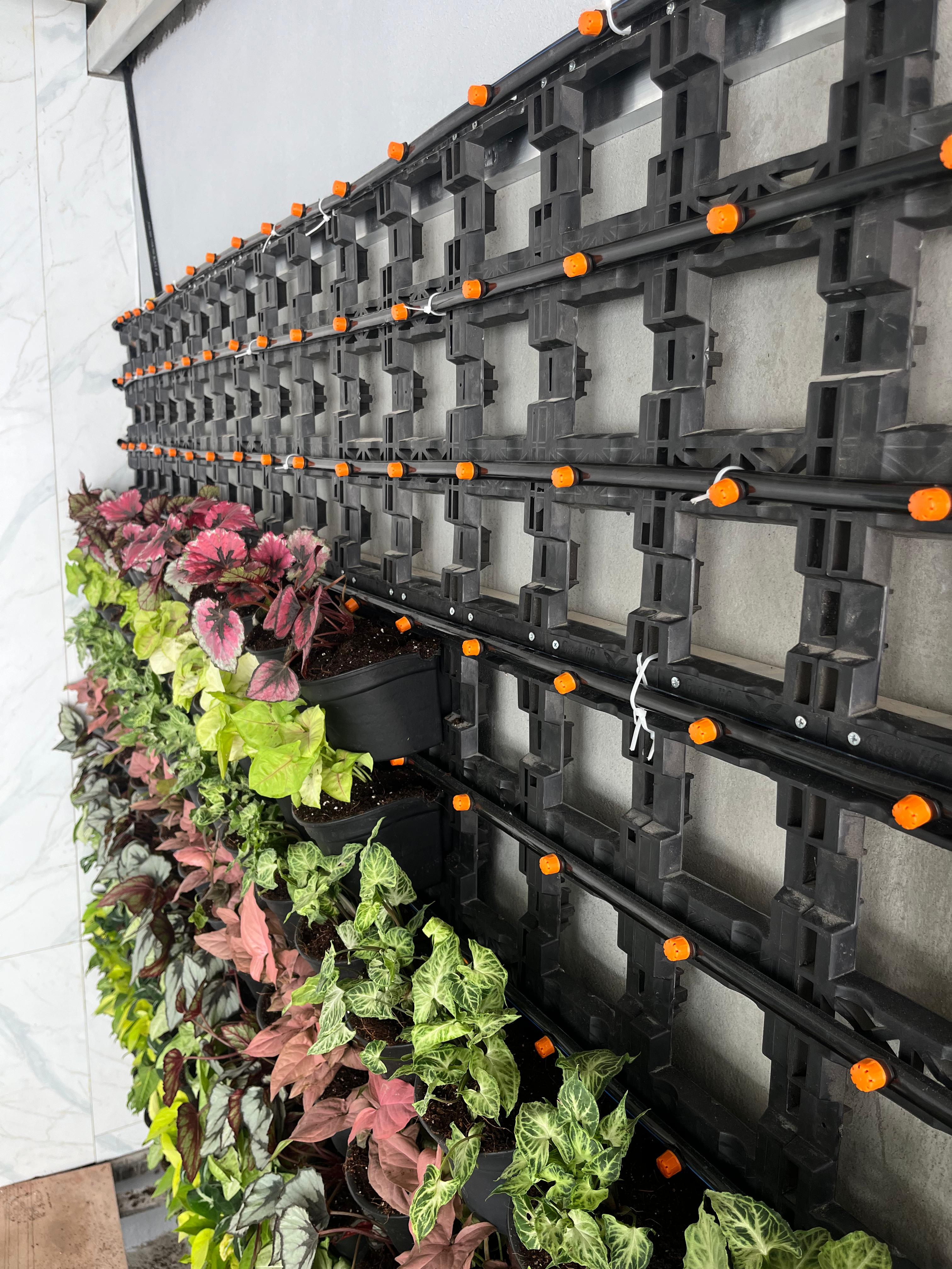 Vertical garden wall before landscaping