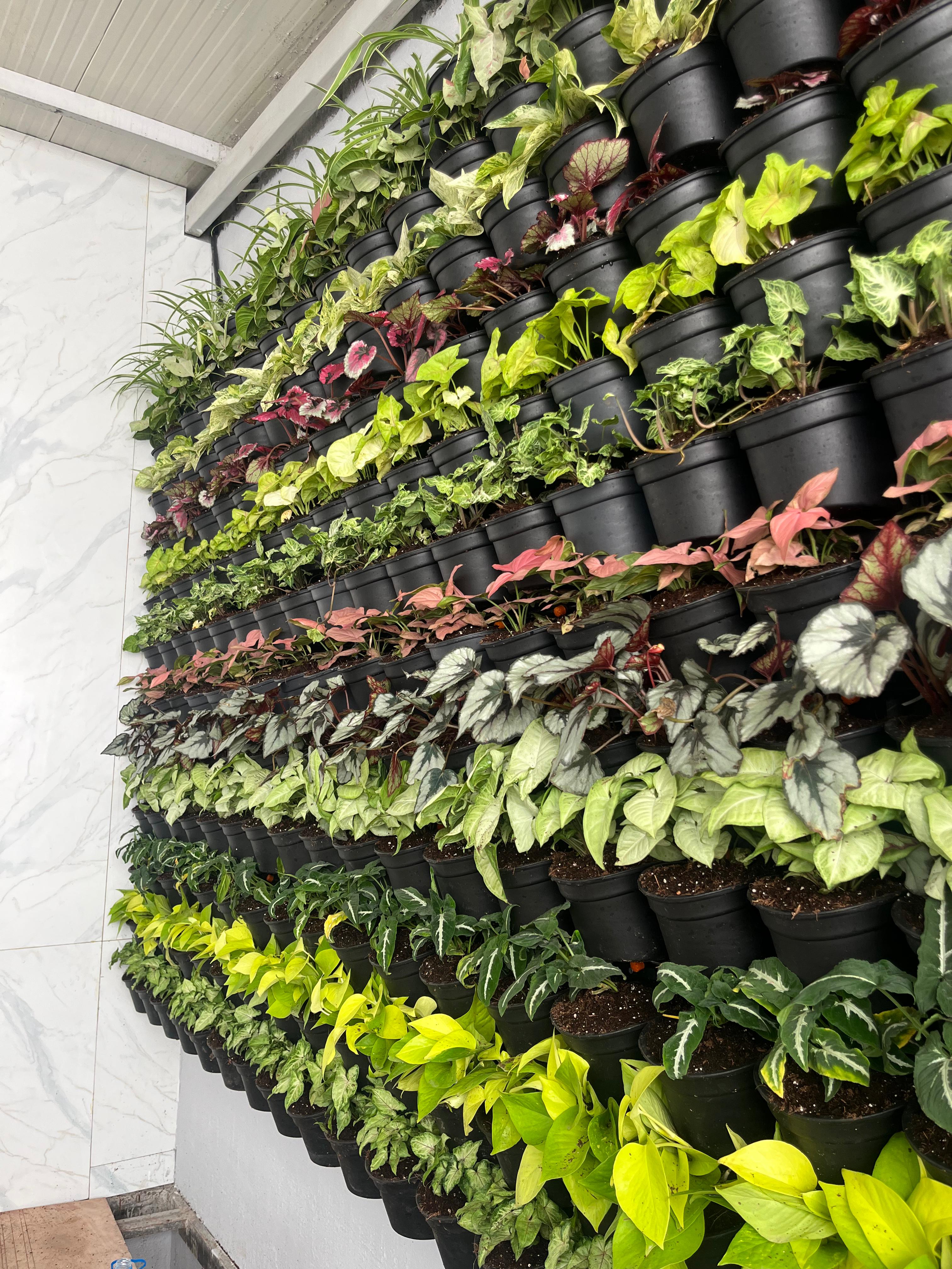 Vertical garden wall with lush plants