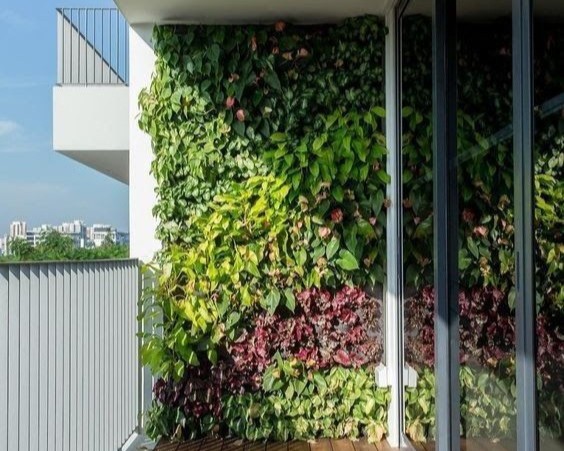 Vertical Gardens